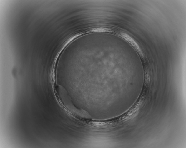 X0000093400852200710190923