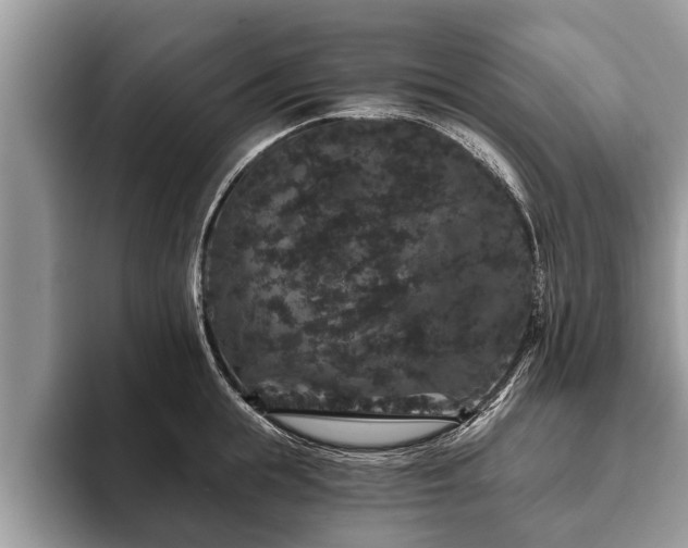 X0000093400855200710190923