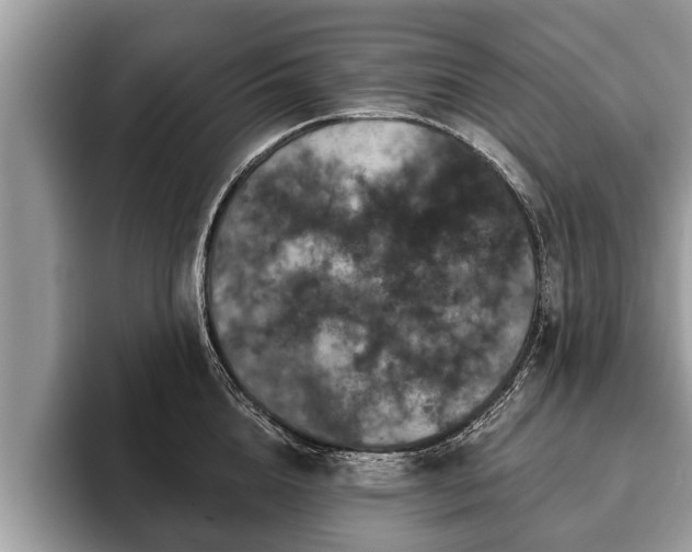 X0000093400856200710190923