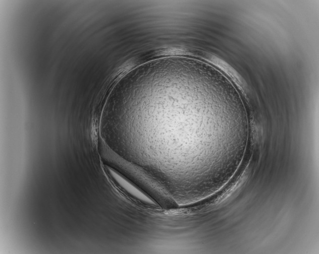 X0000093400857200710190923