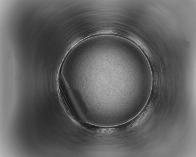 X0000093400858200710190923