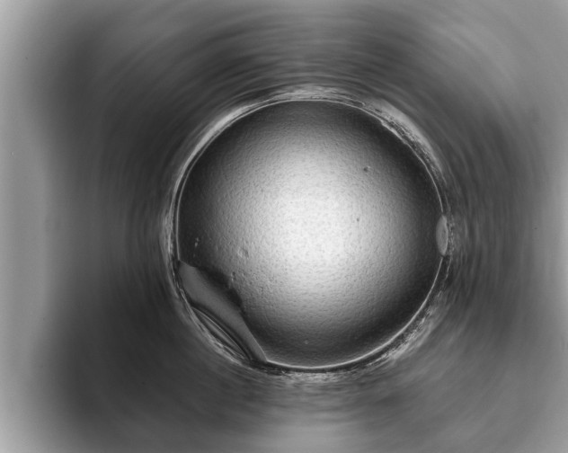 X0000093400860200710190923