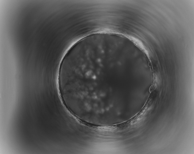 X0000093400863200710190923