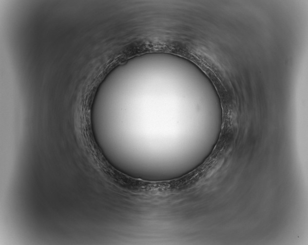 X0000093400865200710190922