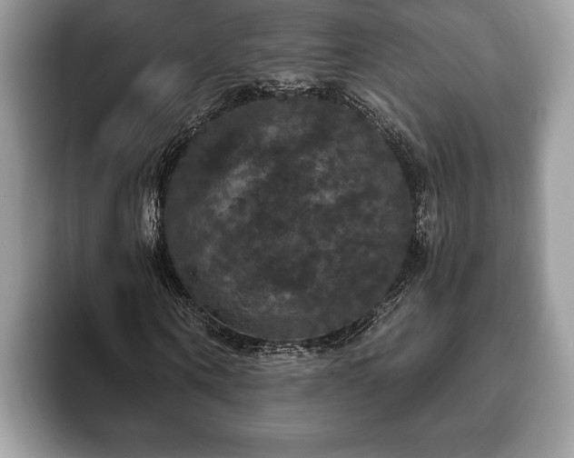 X0000093400866200710190922