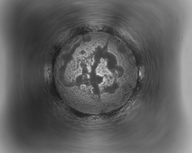 X0000093400867200710190922