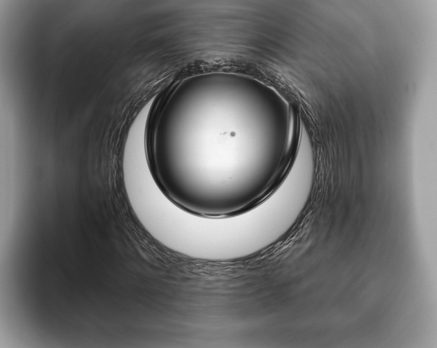 X0000093400868200710190922
