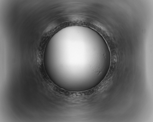 X0000093400869200710190922