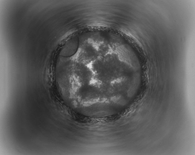 X0000093400870200710190922