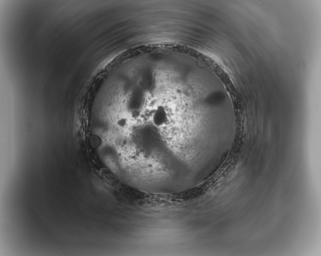 X0000093400871200710190922