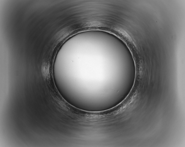 X0000093400873200710190922