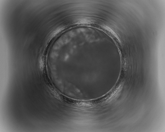 X0000093400874200710190922