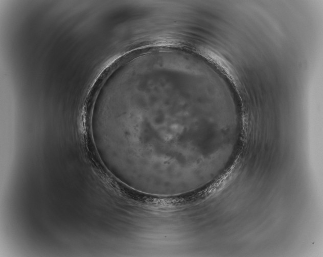 X0000093400875200710190922