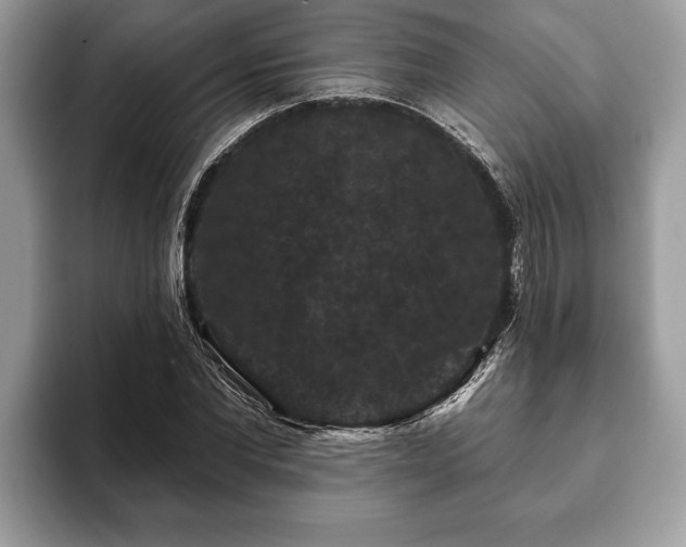 X0000093400877200710190922