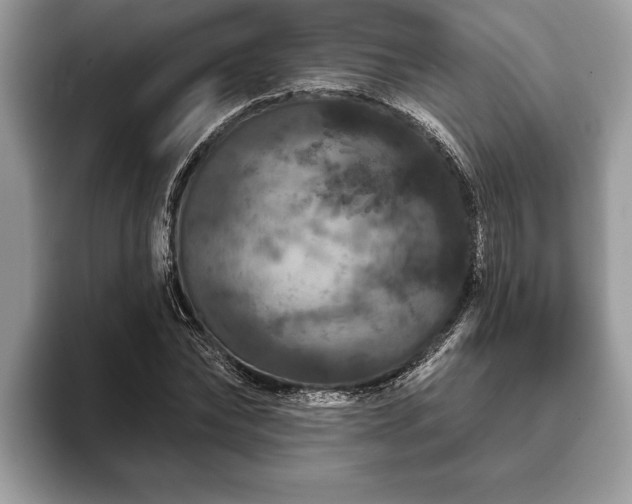 X0000093400878200710190922