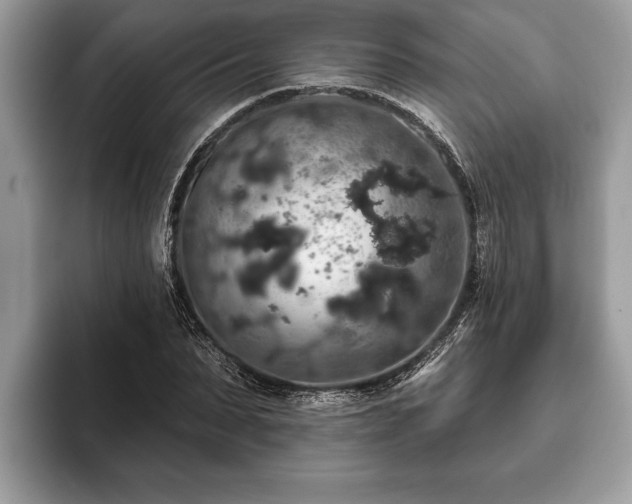 X0000093400879200710190922