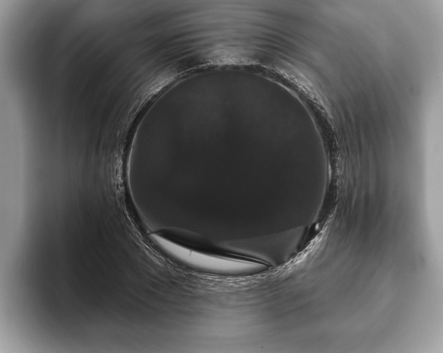 X0000093400881200710190922