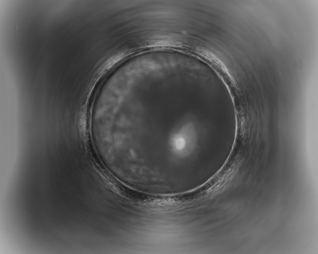 X0000093400882200710190922