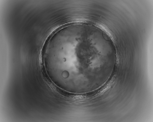 X0000093400883200710190922