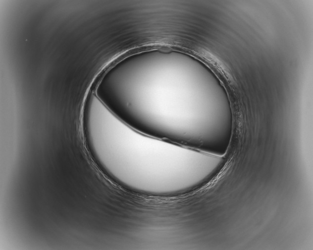 X0000093400884200710190922