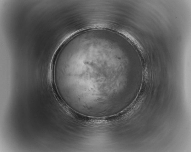 X0000093400886200710190922