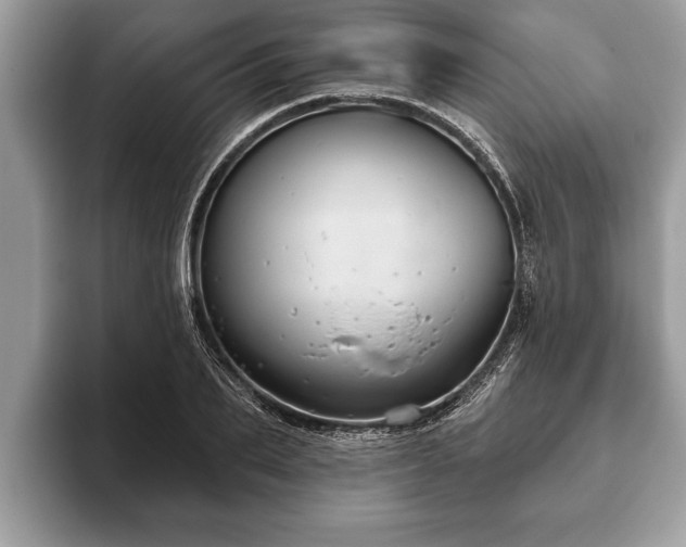 X0000093400887200710190922