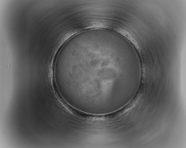 X0000093400890200710190922
