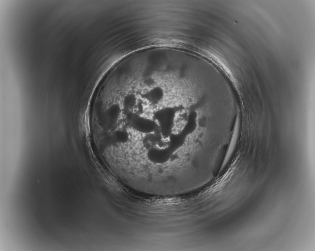 X0000093400891200710190922