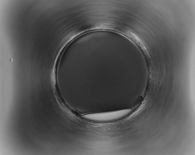 X0000093400892200710190922