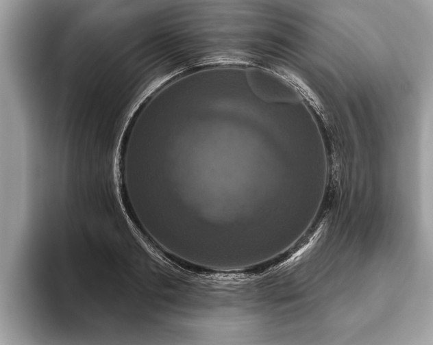 X0000093400893200710190922