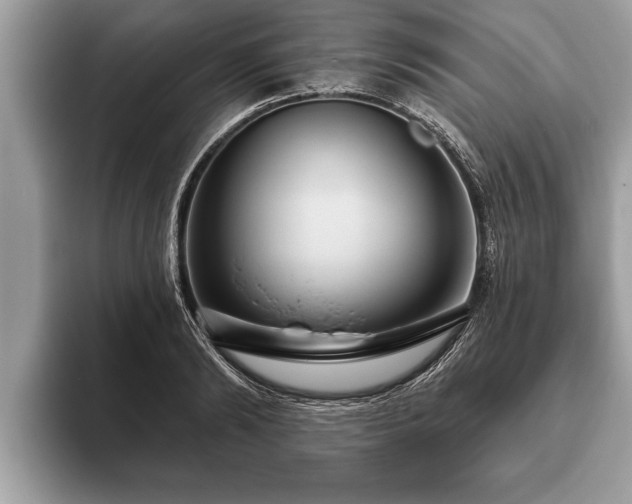 X0000093400894200710190922