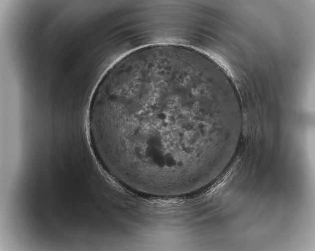 X0000093400895200710190922