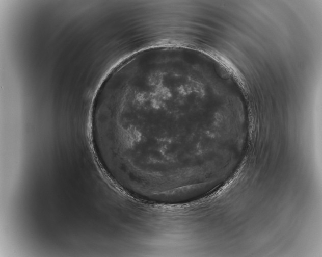 X0000093400896200710190922