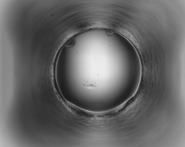 X0000093400898200710190922