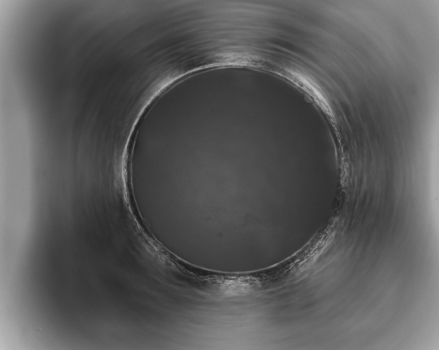 X0000093400899200710190922