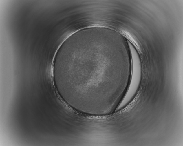 X0000093400900200710190922