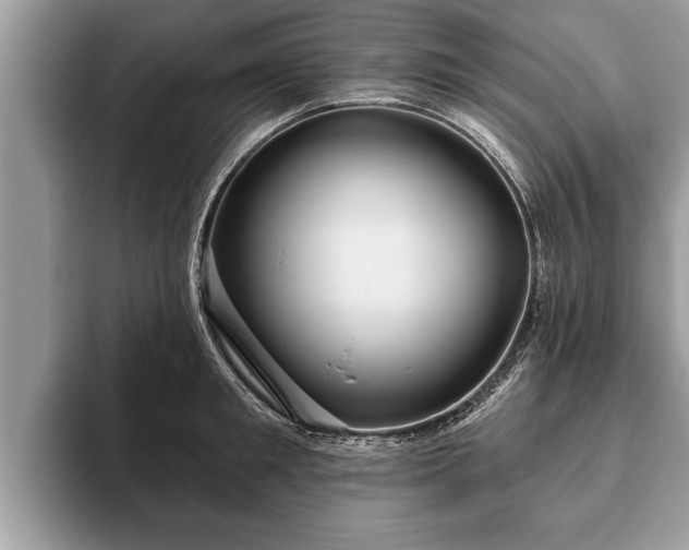 X0000093400901200710190921
