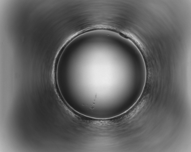 X0000093400902200710190921