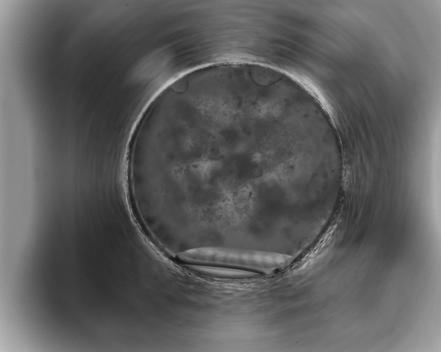 X0000093400903200710190921