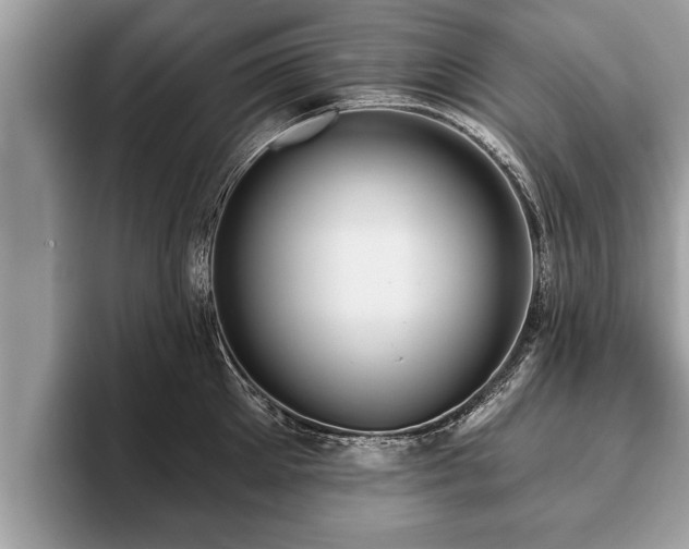 X0000093400905200710190921