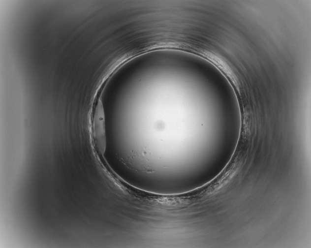 X0000093400906200710190921