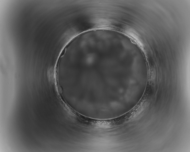 X0000093400907200710190921