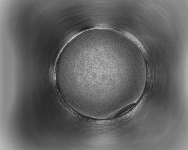 X0000093400908200710190921