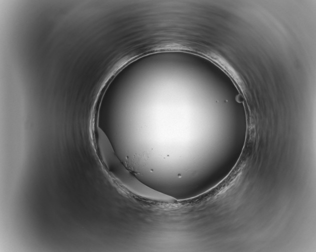 X0000093400909200710190921