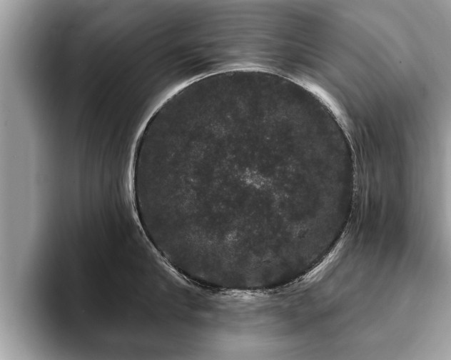 X0000093400910200710190921