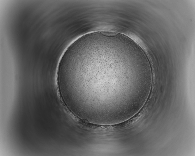 X0000093400912200710190921