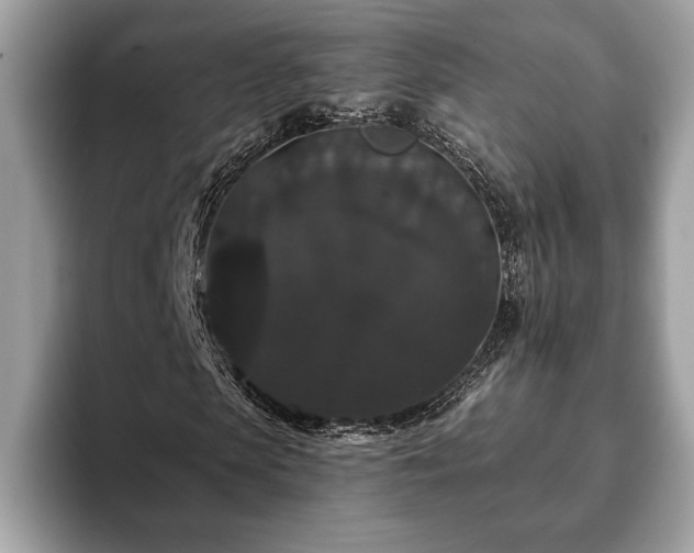 X0000093400913200710190921
