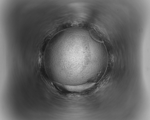 X0000093400914200710190921