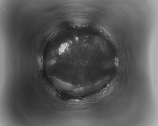 X0000093400915200710190921