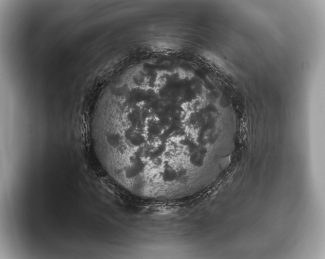 X0000093400917200710190921